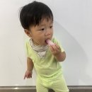 연세경기태권도장 이미지