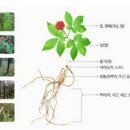 인터팜(주) 이미지