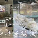 국수나무 증평점 이미지