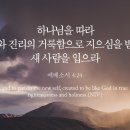 오늘의 '영어성경 사진'(817강) “새 사람을 입으세요”(에베소서 4장 24절) 이미지