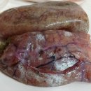 알로큰농장 이미지