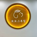모모그루밍 | 인천서구애견미용 무조건 추천하는 모모그루밍