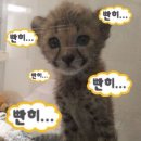 [45.홍대 방탈출 / 얼론 / 꽃길] 지훈아 더이상 외롭지 않지? 첫 모노룸 방탈출 리이뷰