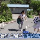 세진솔라 이미지