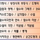 수림수학