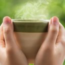 스마트폰 완전정복 이미지