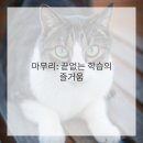 미술감상과 비평 이미지