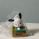 울주공연배달 5회차 | 내가 서른이 되고 3주만에 이룬 것들