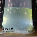 태형농장 | 미꾸라지 치어를 분양받아 먹이로 쓰려하는데 물벼룩이 최고라해요. 유튜브를 보니 "이루와" 라는...