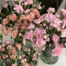 카네이션 왁스타블렛 만들기 이미지