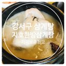 우덕주유소 | 강서구 삼계탕 맛집, 지호한방삼계탕 들깨한방삼계탕으로 기력보충!!