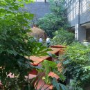 나라광고 | [칭다오] 지모고성 나라다 리조트 조식 후기