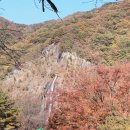 추월산이보이는집 이미지