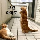 스타노래연습장 이미지