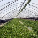 동팔이네 이미지