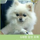 유성준동물병원 이미지