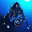 제이원마트 | 스쿠버 다이빙 투어!! / 지노 투어 / 말라파스쿠아 / 드래곤제이원 /환도상어 / 깔랑까만 / 캐피탄칠로