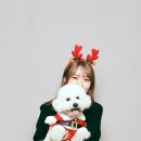프롬유어독 이미지
