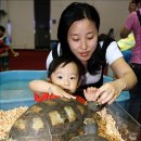 콩쥐# 아카데미 이미지