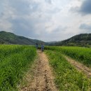 대평목장 이미지