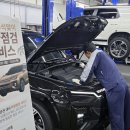 315 이미지