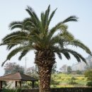 대평별장 이미지