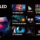 HiSenSe(하이센스) 이미지