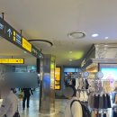 강남 꽃집 추천 | 고속터미널역 지하 강남꽃직매장 방문 후기 (실속있는 꽃 구매 꿀팁)