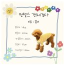 멍텔스컴바인 이미지