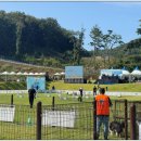 주식회사 반려동물 이미지