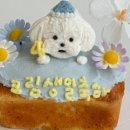 청키딩키 이미지