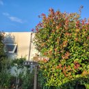 별 헤는 밤 200 이미지