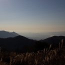 국립유명산자연휴양림 이미지