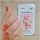 봉숭아손톱 | 다이소 봉숭아 물들이기 후기｜매니큐어 없이 손톱 꾸미기