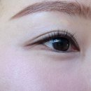 코어소프트 | ♥ 후기 - 웨이크메이크 소프트 블러링 아이팔레트 13호 블루 코어 블러링