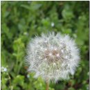 은판나비화장실 이미지