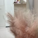 네일바이은 이미지