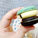 Jmaison(제이메종) 이미지