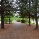 팽성레포츠공원 이미지