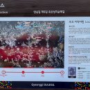 평지경로식당 이미지