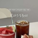 빌라드도화리