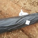 방초농장 이미지