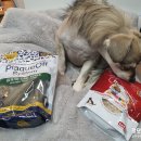 덴탈메인 이미지