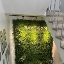 레이브짐 이미지