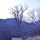 겨울의전설
