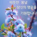 욘석도 생화? 이름이 있을까요? 이미지