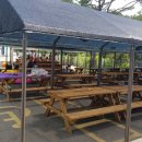 고다리조트 이미지