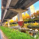 도심건강길 2길 이미지