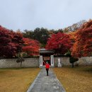 재단법인 천주교수원교구 유지재단 하상출판사 | 2023. 10. 28 제천 단풍 명소 - 베론성지