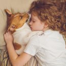 NOBLESSE.PET 이미지